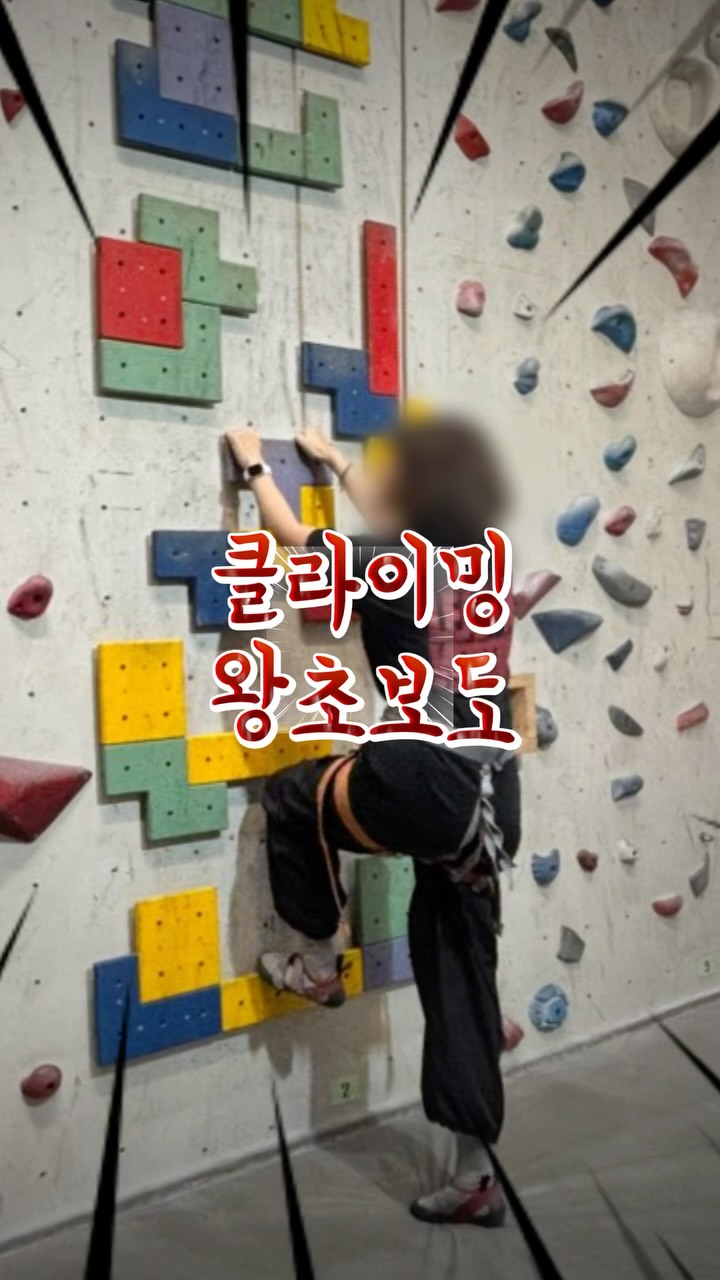 아몰드 인스타그램