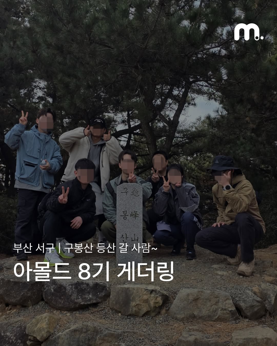 아몰드 인스타그램